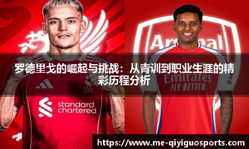 奇异果体育官网入口