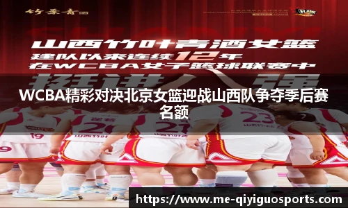 奇异果体育官网入口
